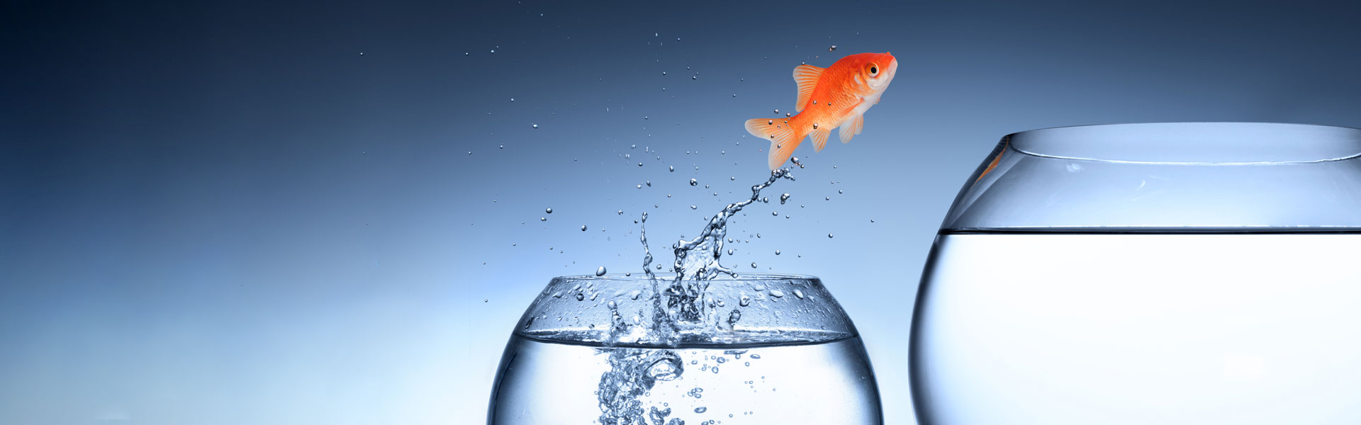 Ein Goldfisch springt aus einem Wasserglas